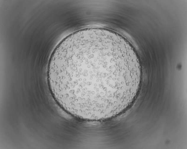 X0000116791186201001291512