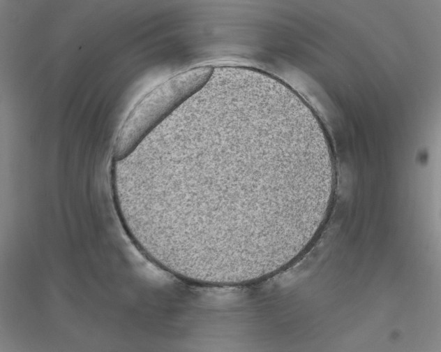 X0000116791189201001291512