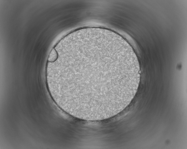 X0000116791191201001291512