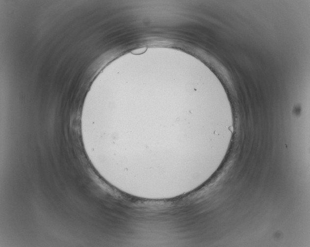 X0000116791193201001291512
