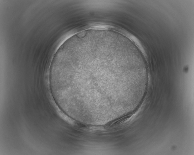 X0000116791194201001291512