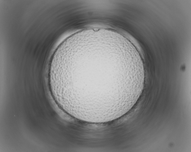 X0000116791195201001291512