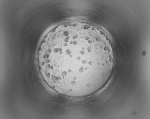 X0000116791196201001291512