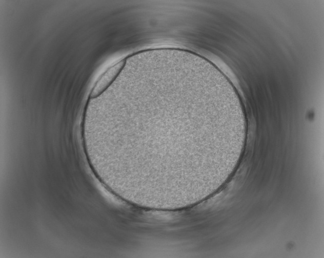 X0000116791197201001291512