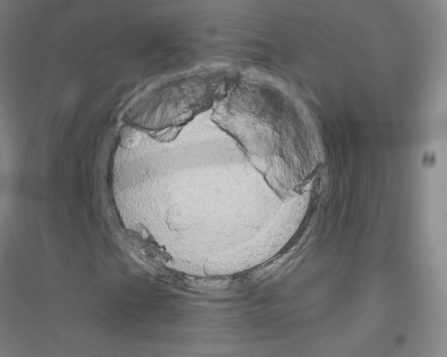 X0000116791201201001291511