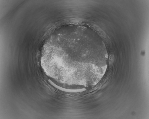 X0000116791202201001291511