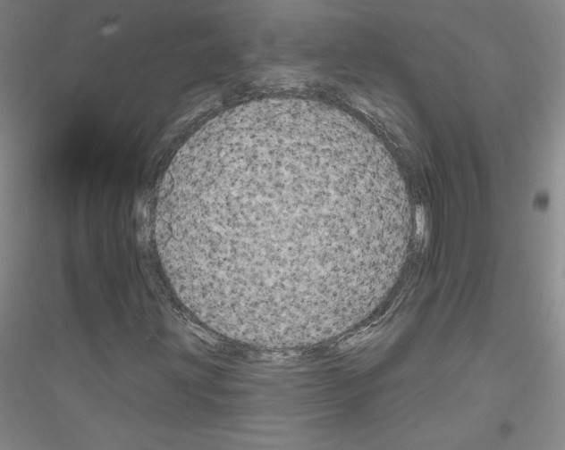 X0000116791203201001291511