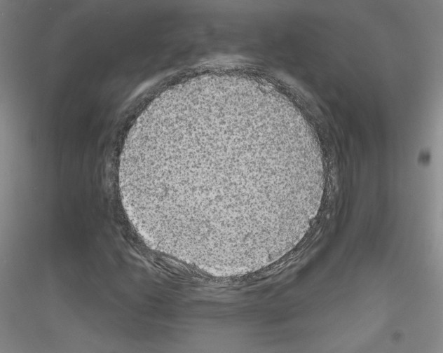X0000116791206201001291511