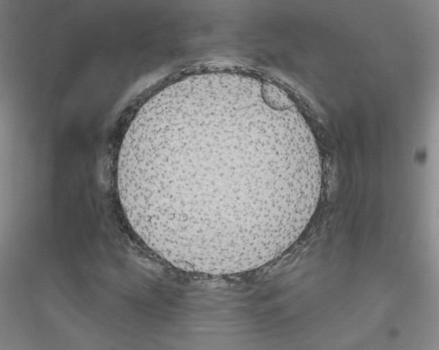 X0000116791207201001291511