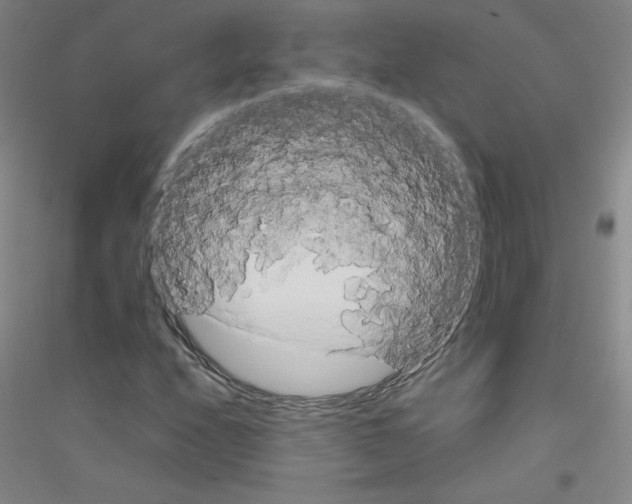 X0000116791208201001291511
