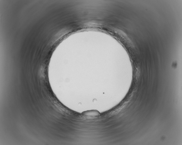X0000116791209201001291511