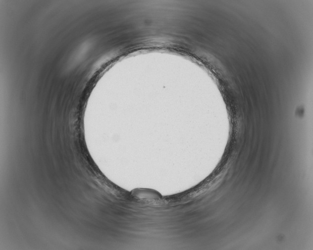 X0000116791210201001291511