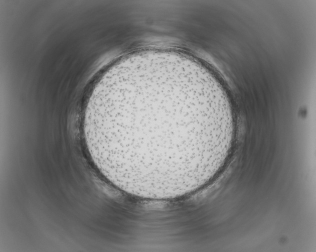 X0000116791211201001291511
