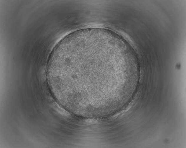 X0000116791212201001291511