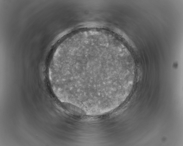 X0000116791213201001291511