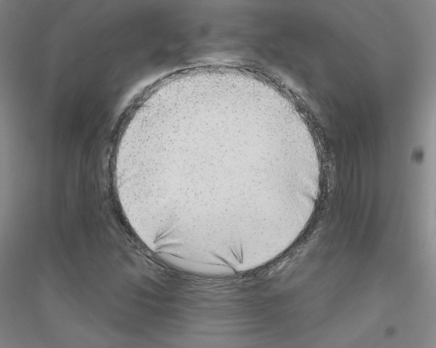 X0000116791214201001291512
