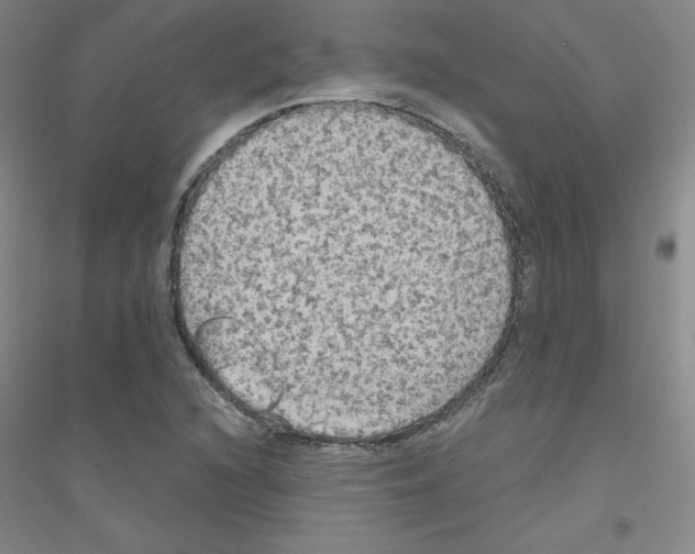 X0000116791216201001291512