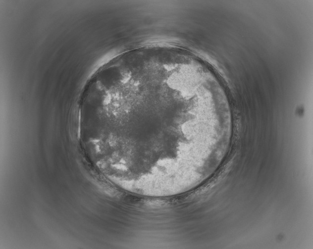 X0000116791219201001291512