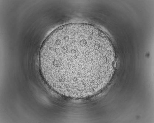X0000116791220201001291512