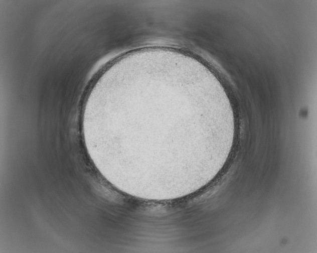X0000116791222201001291512