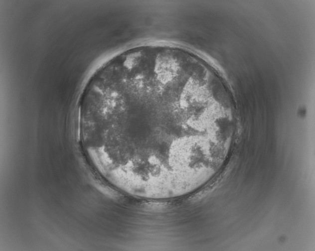 X0000116791223201001291512