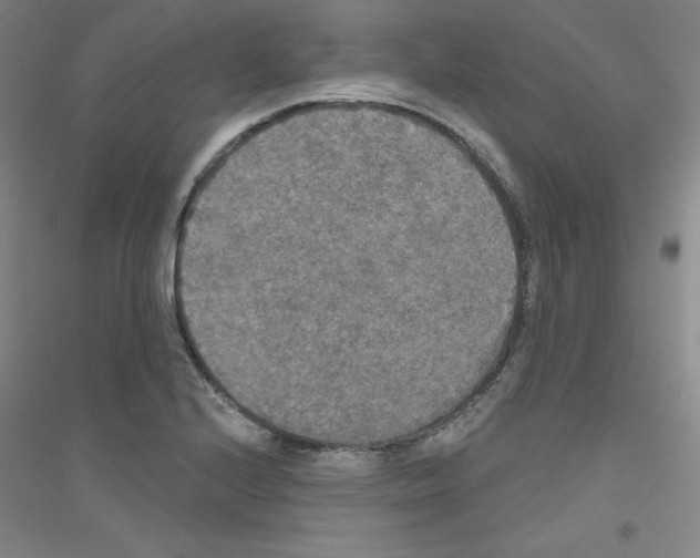 X0000116791224201001291512