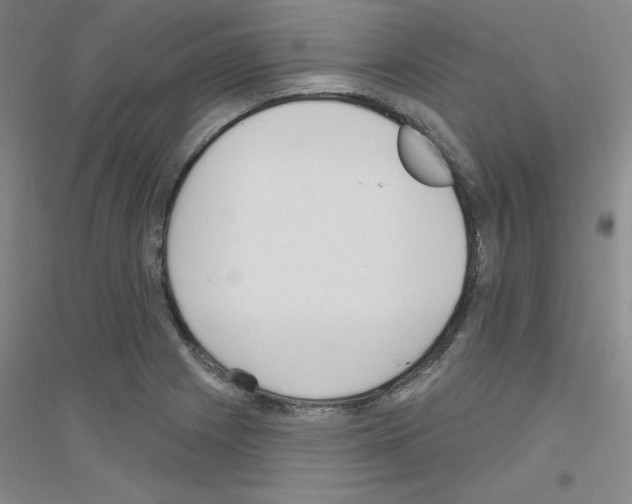 X0000116791225201001291512