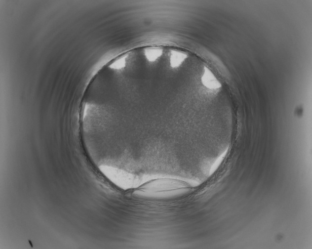 X0000116791226201001291512