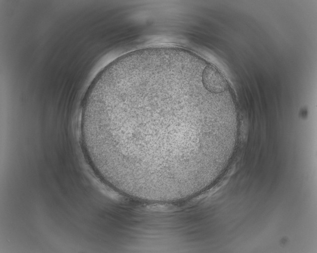 X0000116791227201001291512