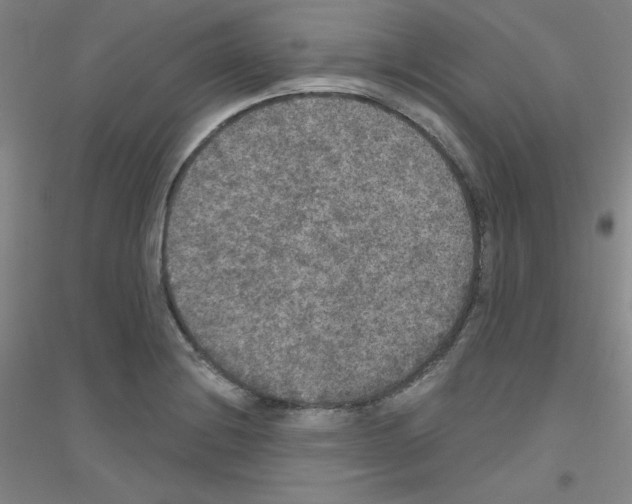X0000116791228201001291512