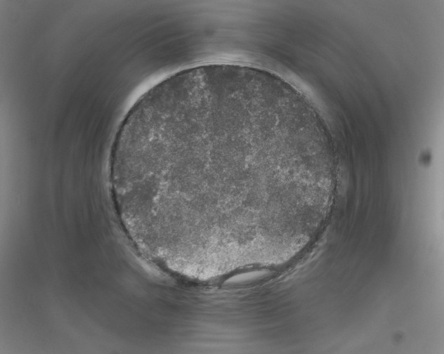 X0000116791230201001291512