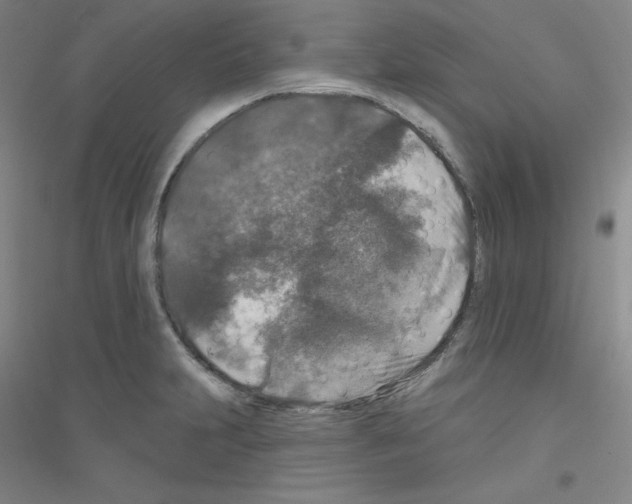 X0000116791231201001291512