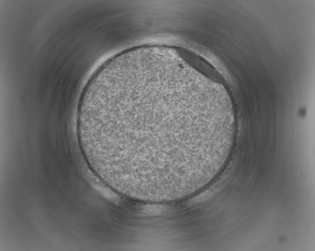 X0000116791232201001291512