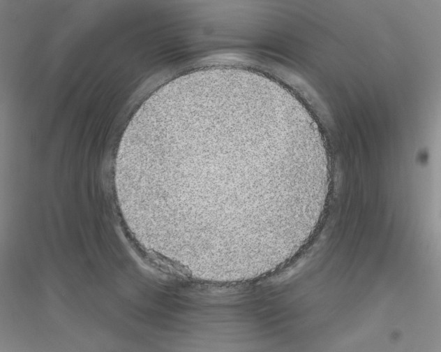 X0000116791233201001291512