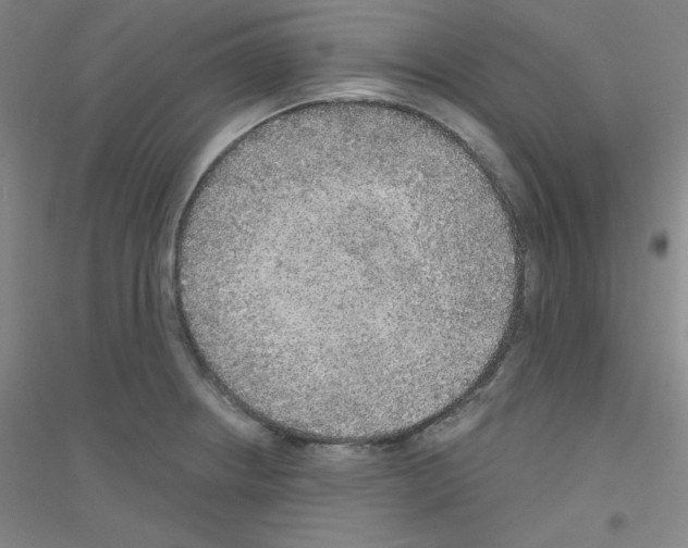 X0000116791234201001291512