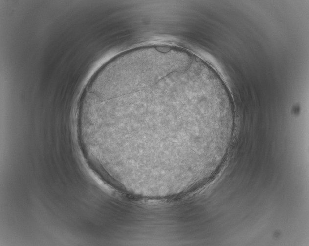 X0000116791235201001291512