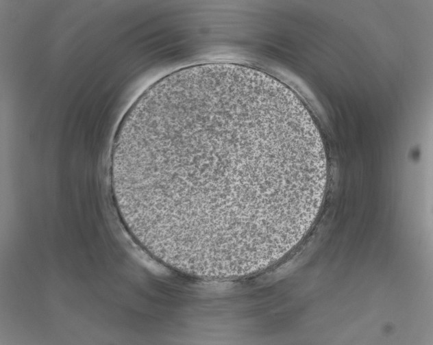 X0000116791236201001291512