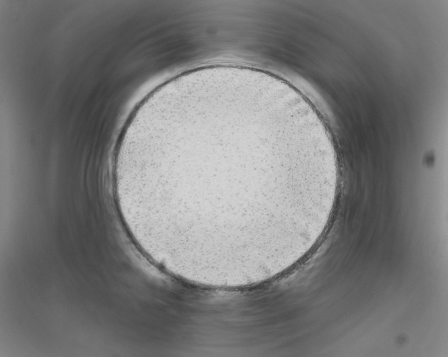 X0000116791238201001291512