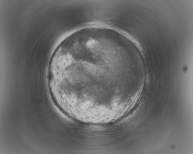 X0000116791239201001291512