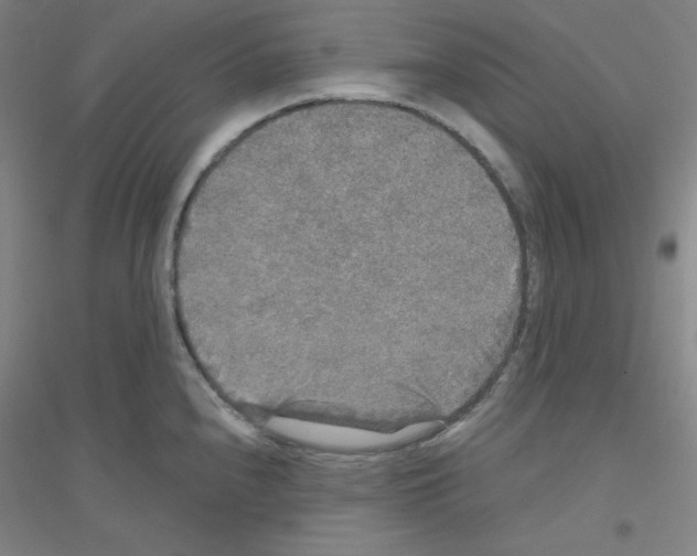 X0000116791240201001291512