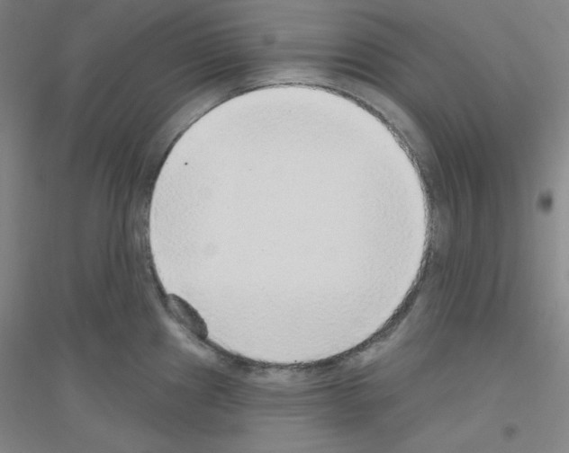 X0000116791241201001291512