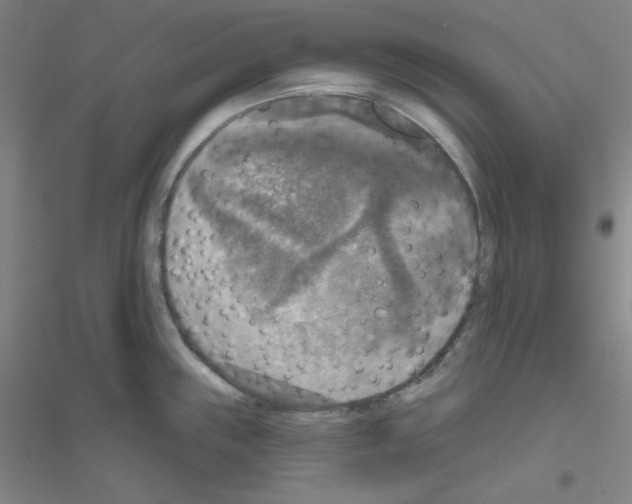 X0000116791243201001291512