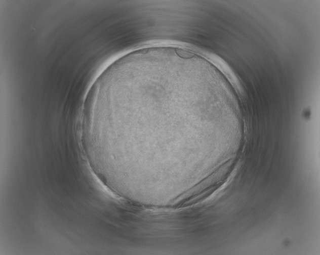 X0000116791244201001291512