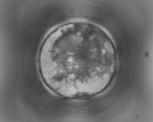 X0000116791245201001291512