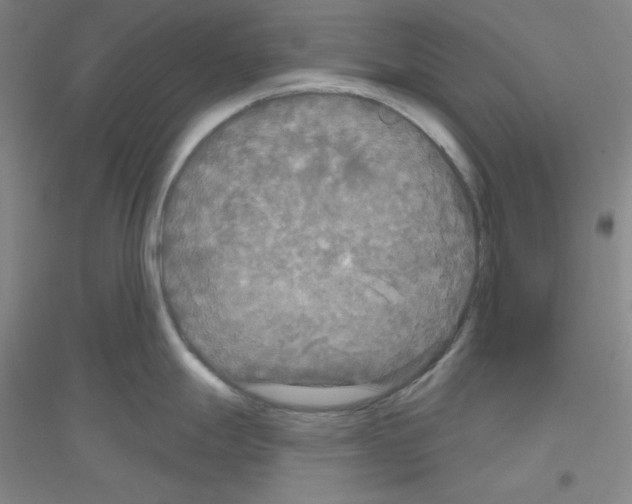 X0000116791247201001291512