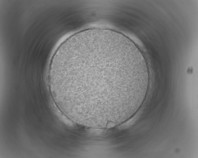 X0000116791248201001291512