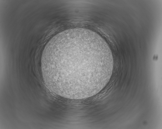 X0000116791249201001291511