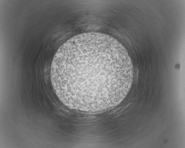 X0000116791250201001291511