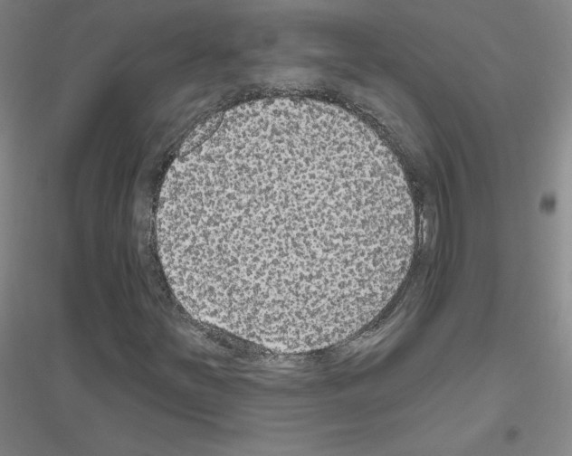 X0000116791251201001291511