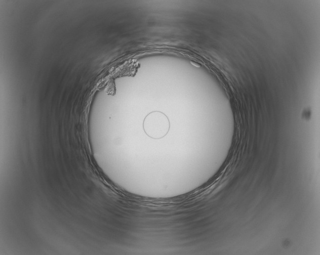 X0000116791252201001291511